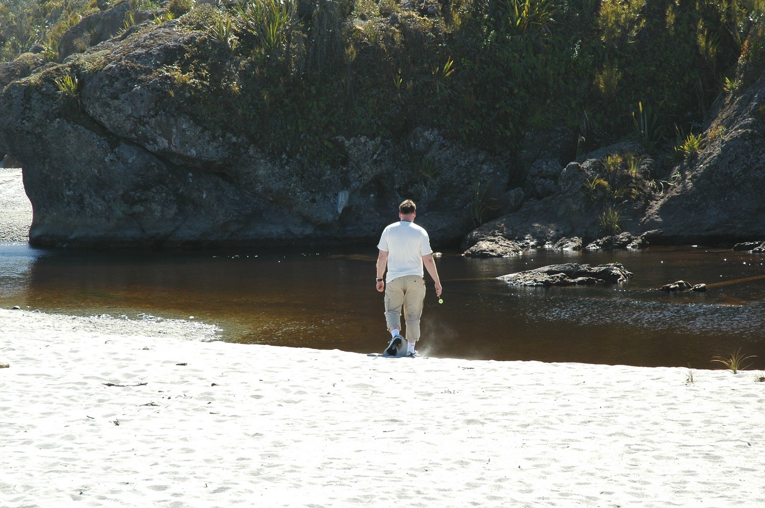 131   25 01   Fox Glacier   Oamura
